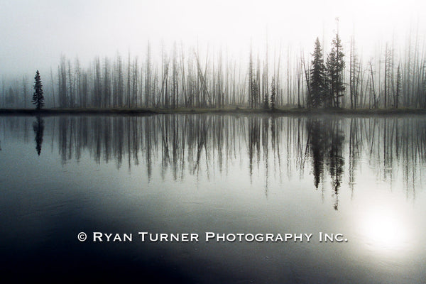 Foggy Morning on the Lewis River