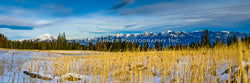 Lone Peak & Spanish Peaks - Grassy Meadow