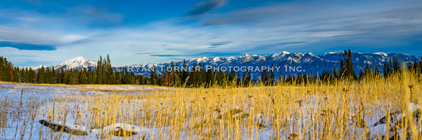 Lone Peak & Spanish Peaks - Grassy Meadow