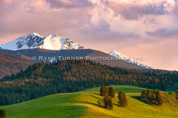 Evening Light on the Peaks