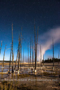 Night Sky Over Yellowstone