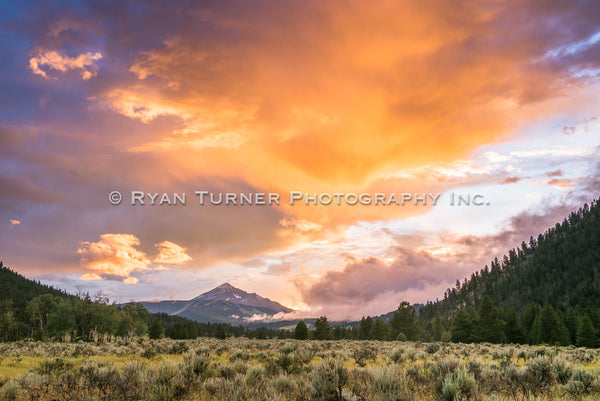 Mountain Meadow Sunset