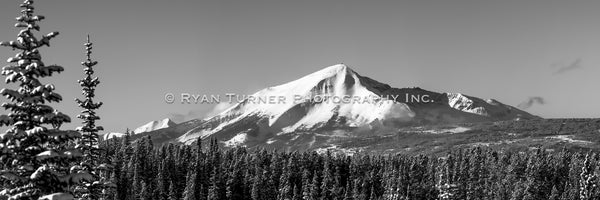 Lone Peak Rising Out of the Forest