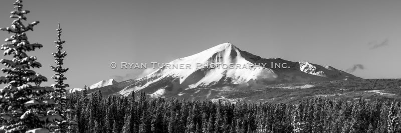 Lone Peak Rising Out of the Forest