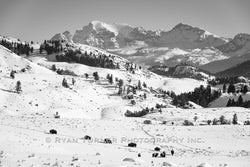 Yellowstone's Majestic View