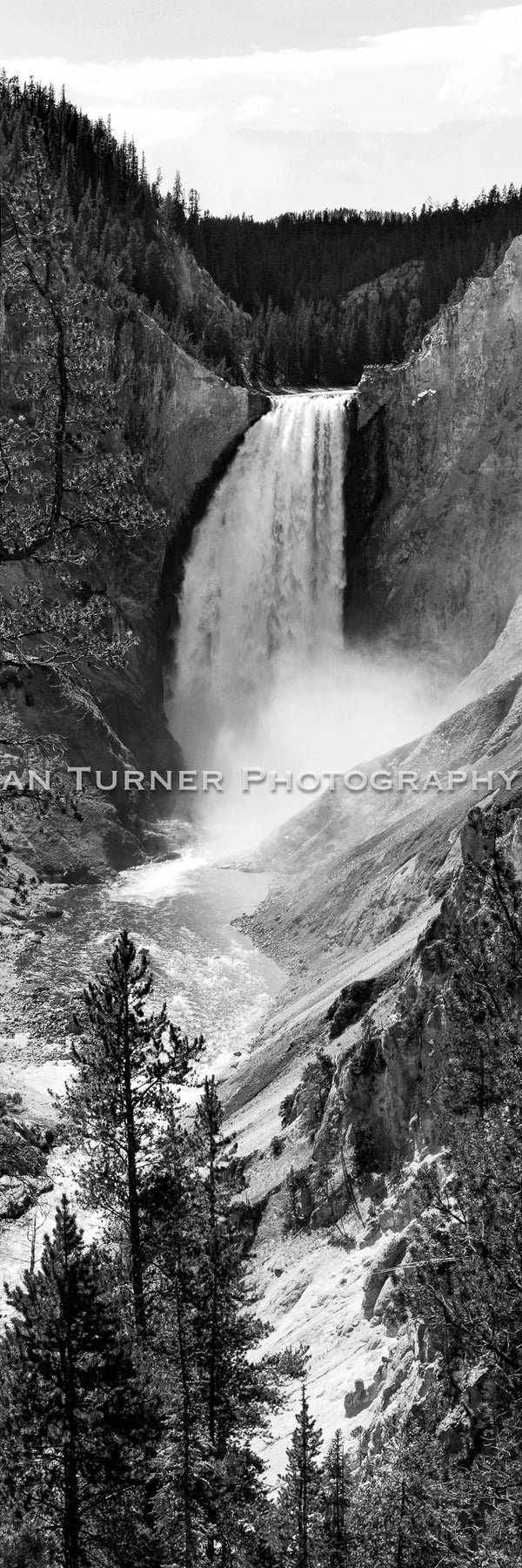 Lower Falls of Yellowstone B&W