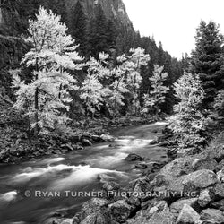 Gallatin Canyon Splendor