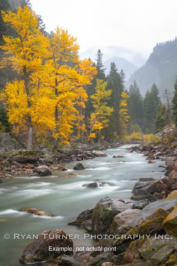 A Misty Day On The Gallatin 3/25 (55"x38")