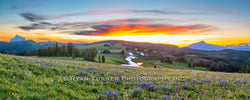 Summer Bliss On Buck Ridge
