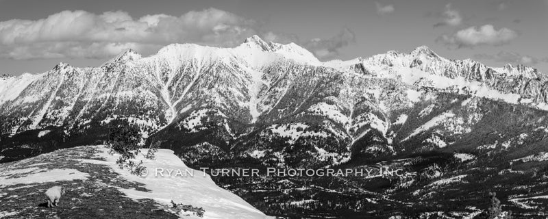 A Mountain Goats View of the Spanish Peaks