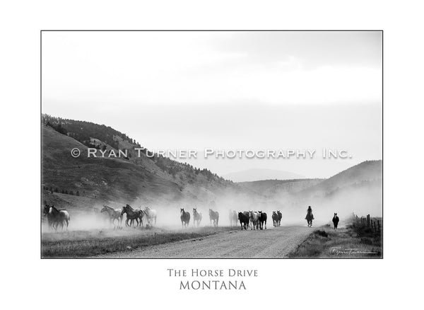 The Horse Drive - Notecard