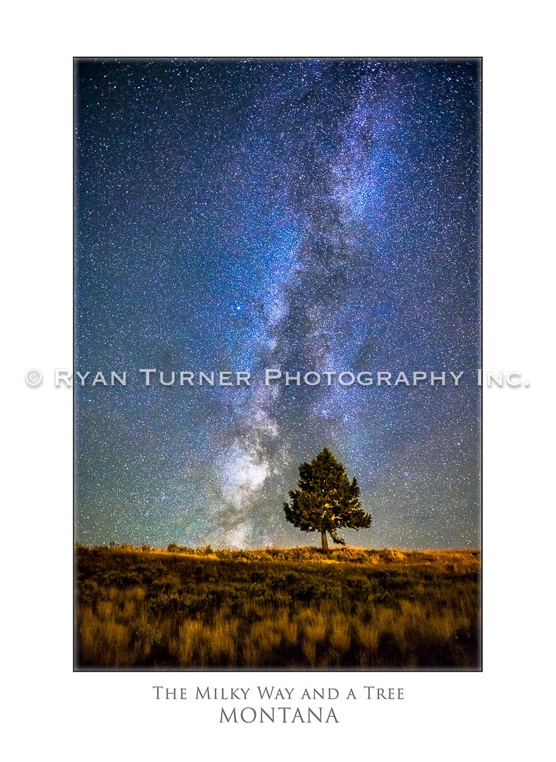 The Milky Way and a Tree - Notecard