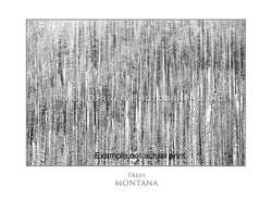 Trees 30/75 (40"x60")