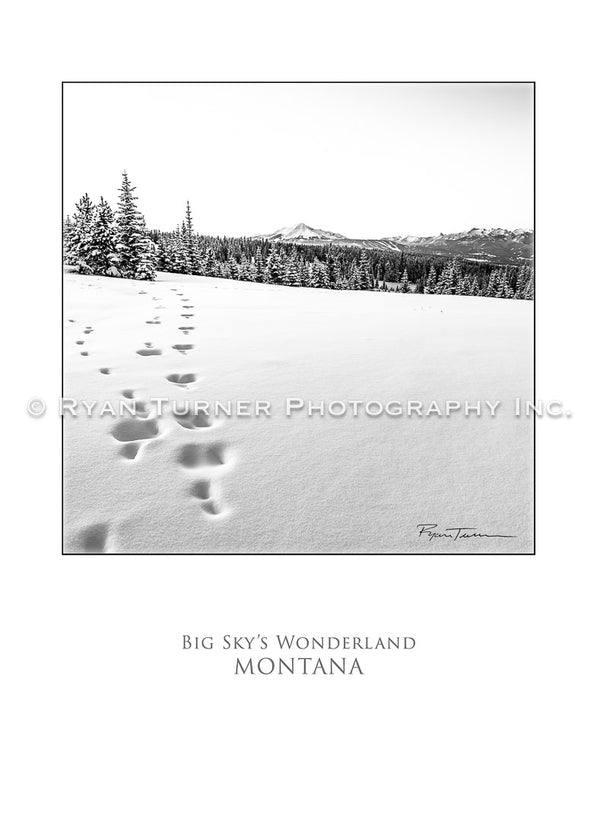 Big Sky's Wonderland - Notecard