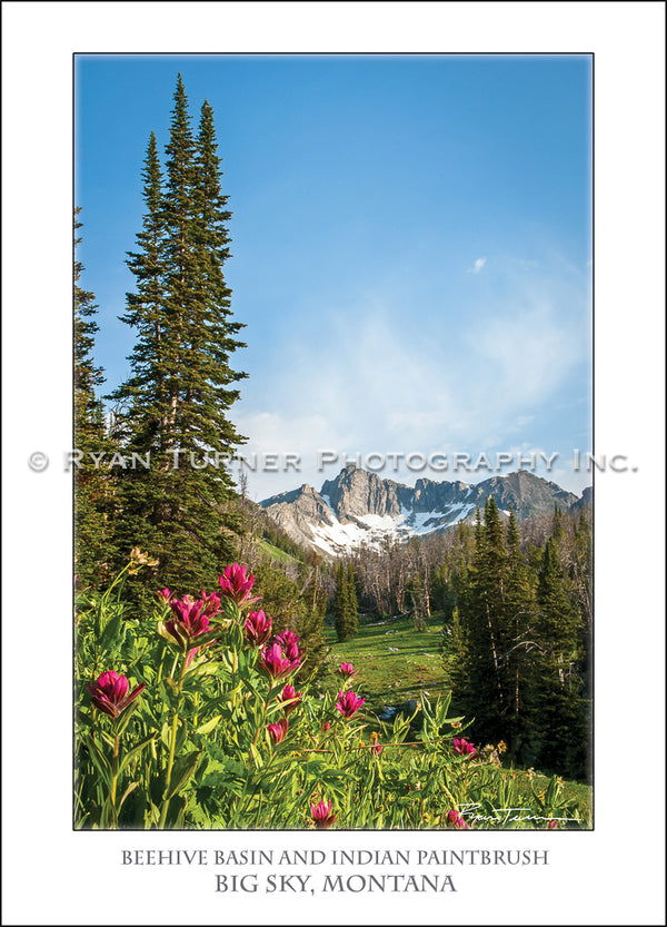 Beehive Basin and Indian Paintbrush - Notecard