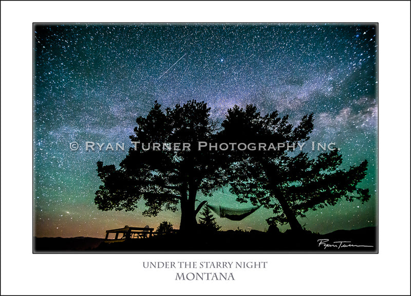 Under the Starry Night - Notecard